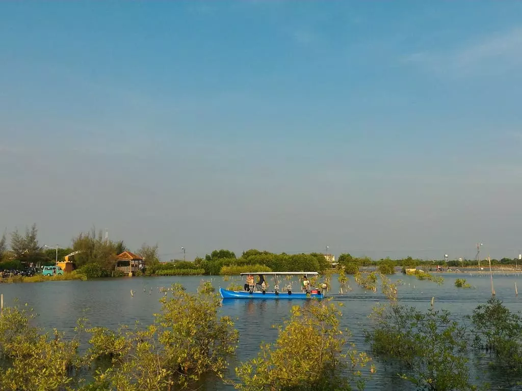 wisata mangrove park pekalongan mamikeren com
